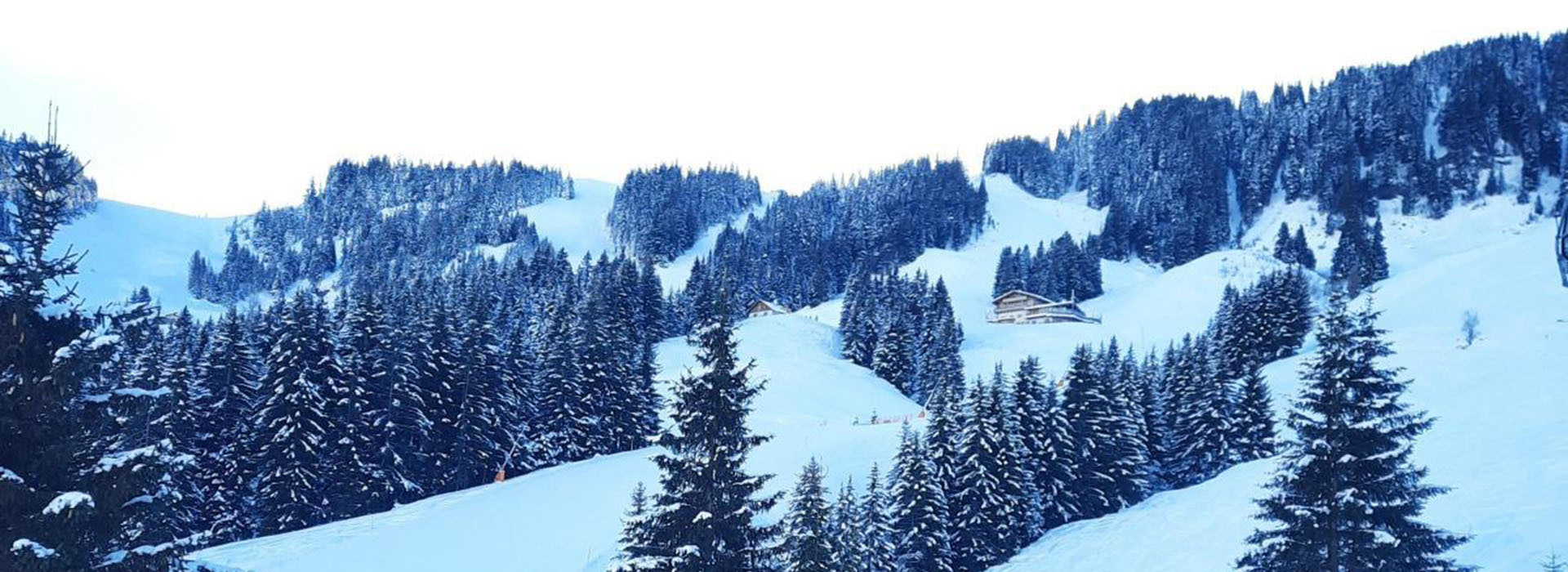 Schneelandschaft